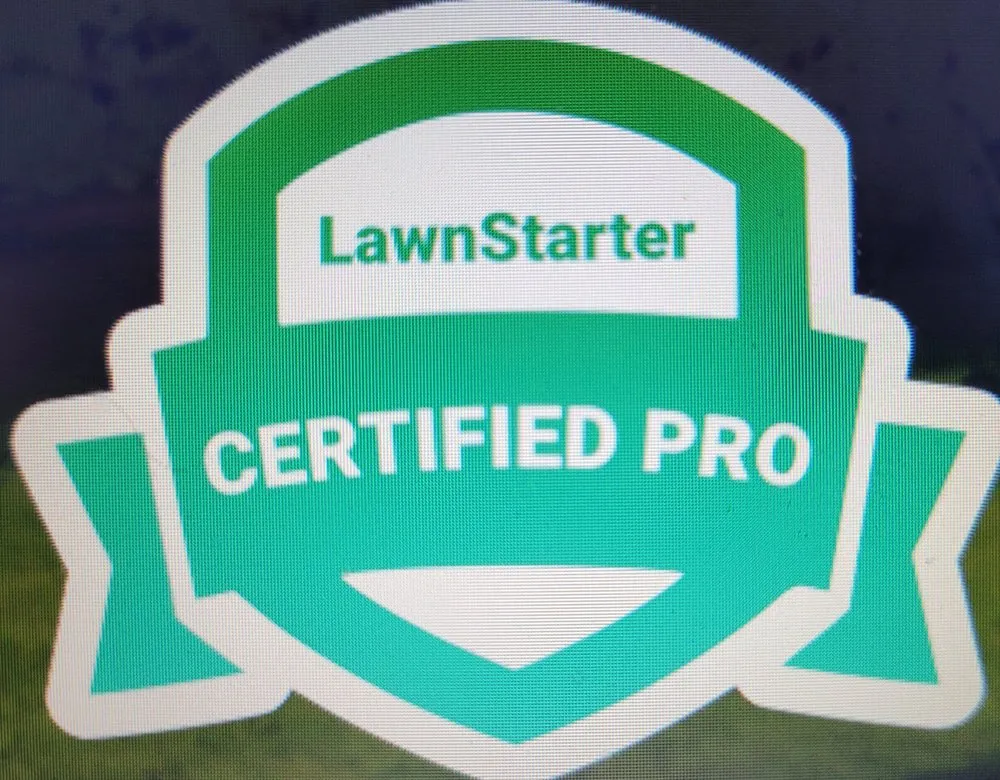 Custom landscape design for homes across McKees Rocks, PA - MPM Lawn Service