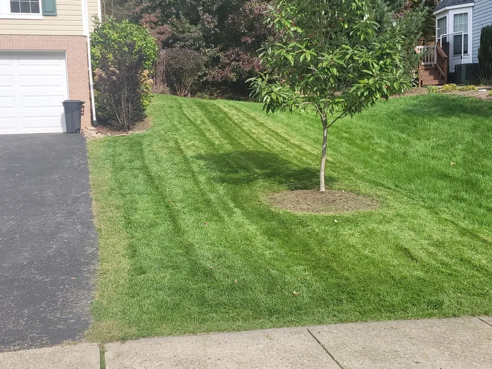 Trusted lawn care service in McKees Rocks, PA by MPM Lawn Service
