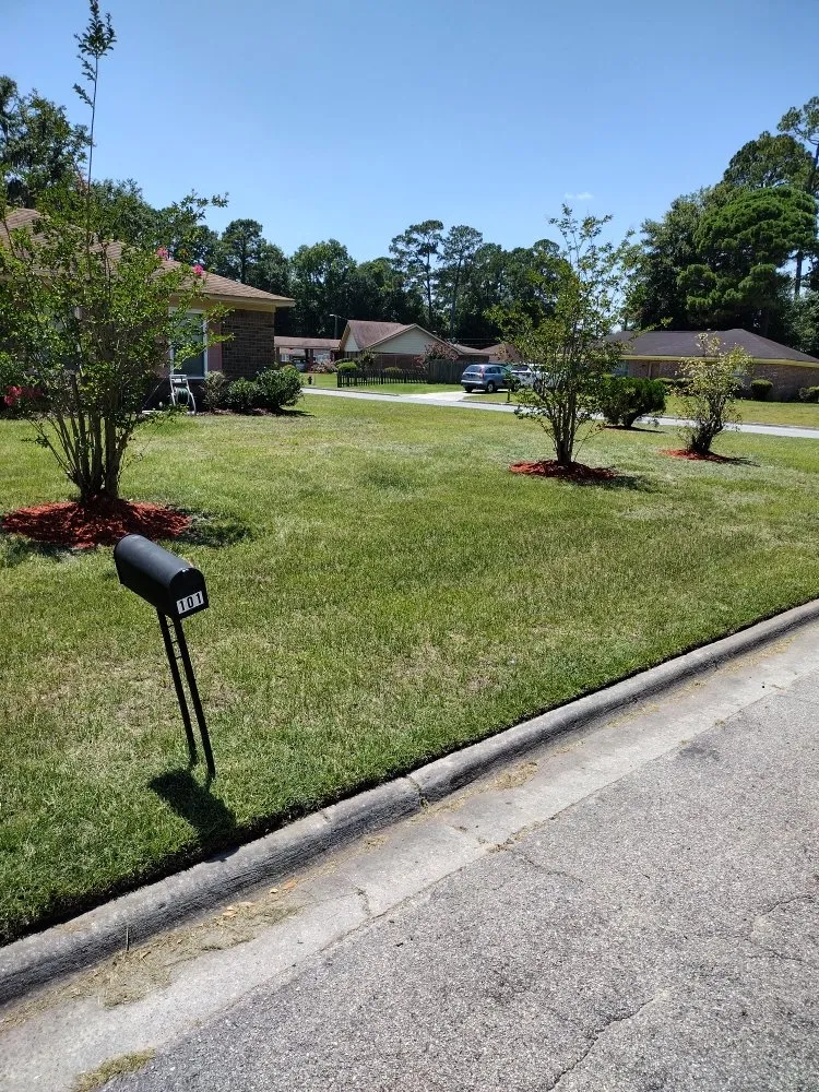 Top-rated garden landscaping for year-round maintenance across Savannah, GA - Mpressive Mprovement