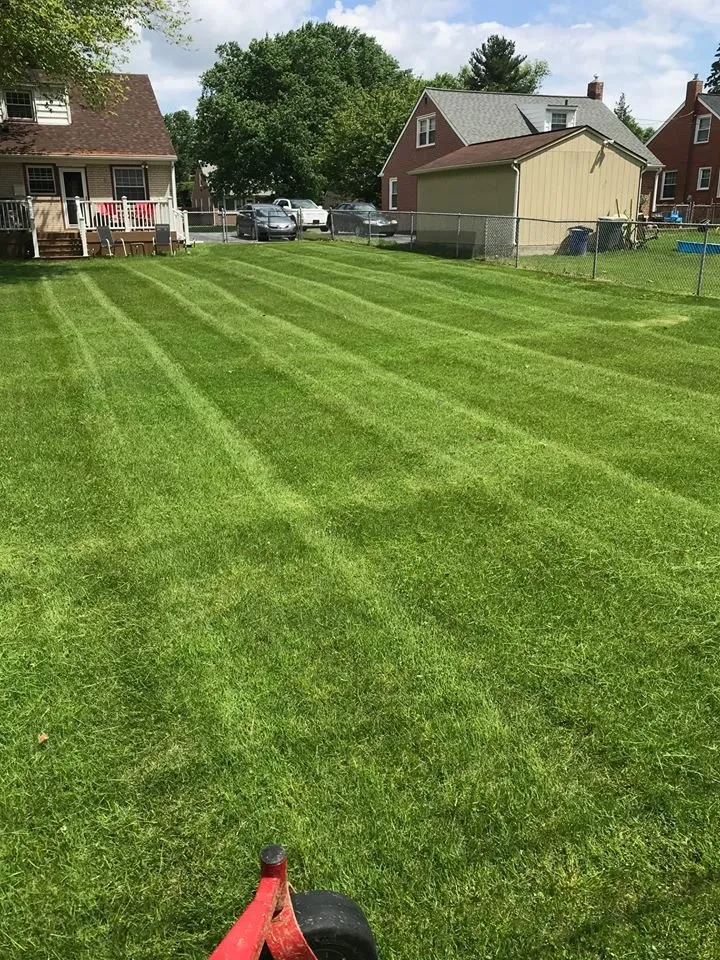 Affordable landscape installation in Prospect Park, PA by MP's Property Maintenance