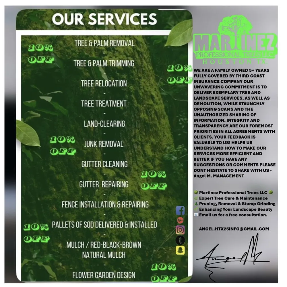 Affordable garden landscaping for outdoor upgrades in Katy, TX by MPT Works