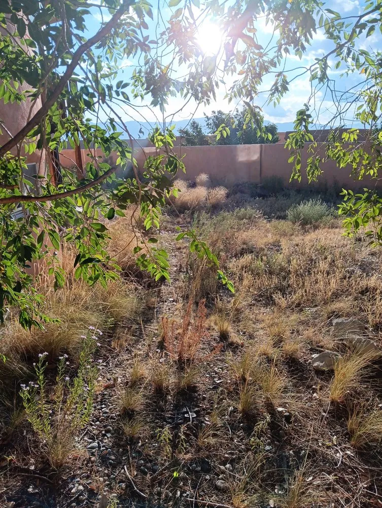 Top-rated yard cleanup service for year-round maintenance across Los Lunas, NM - Mr & Mrs Burdine's Helping Hands