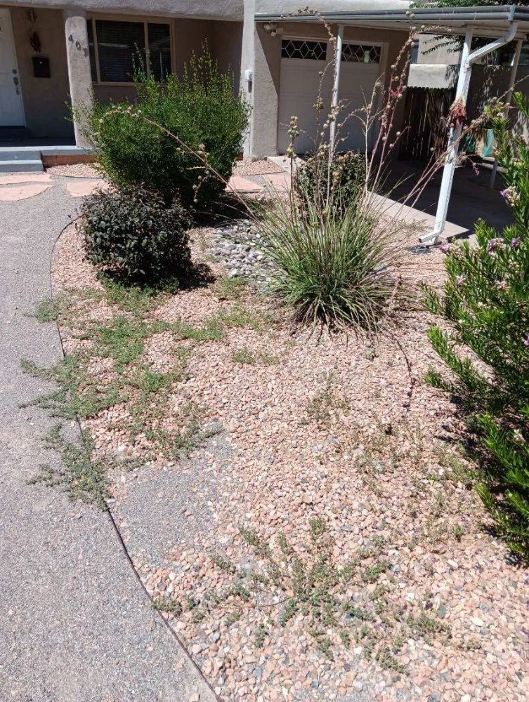 Local residential landscaping in Los Lunas, NM by Mr & Mrs Burdine's Helping Hands