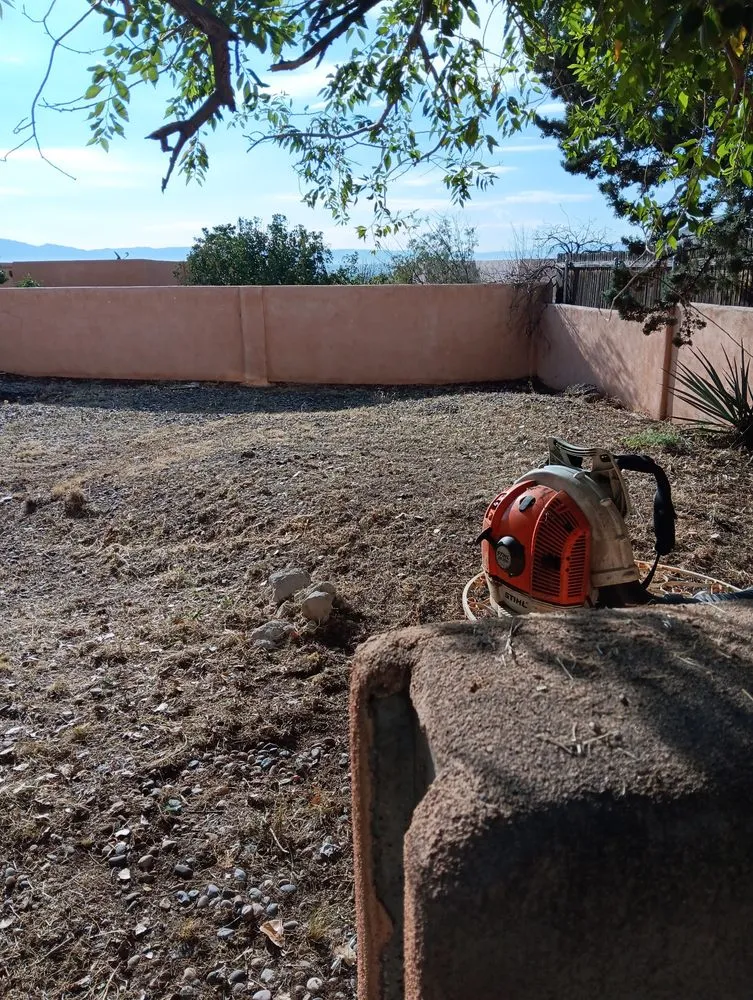 Custom yard maintenance experts serving Los Lunas, NM - Mr & Mrs Burdine's Helping Hands