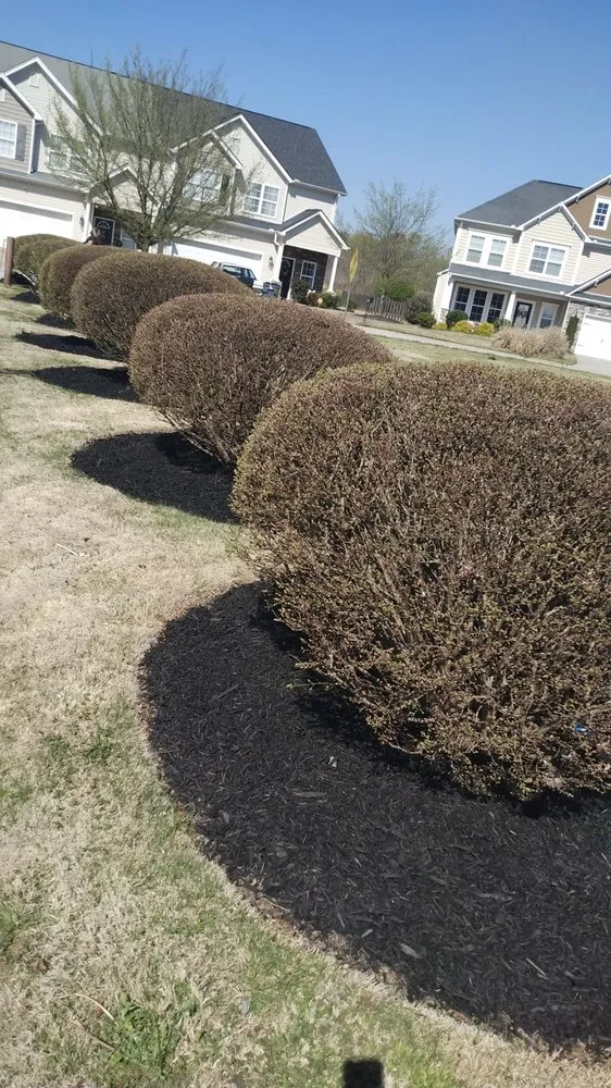 Top-rated lawn mowing service in Simpsonville, SC by Mr. & Mrs. Lawn Care