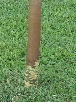 Mr & Mrs Mow It All Logo