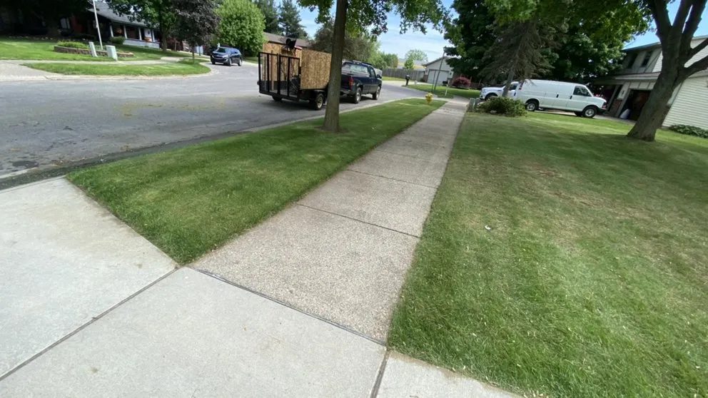 Local landscape design experts serving Grand Rapids, MI - Mr Aham