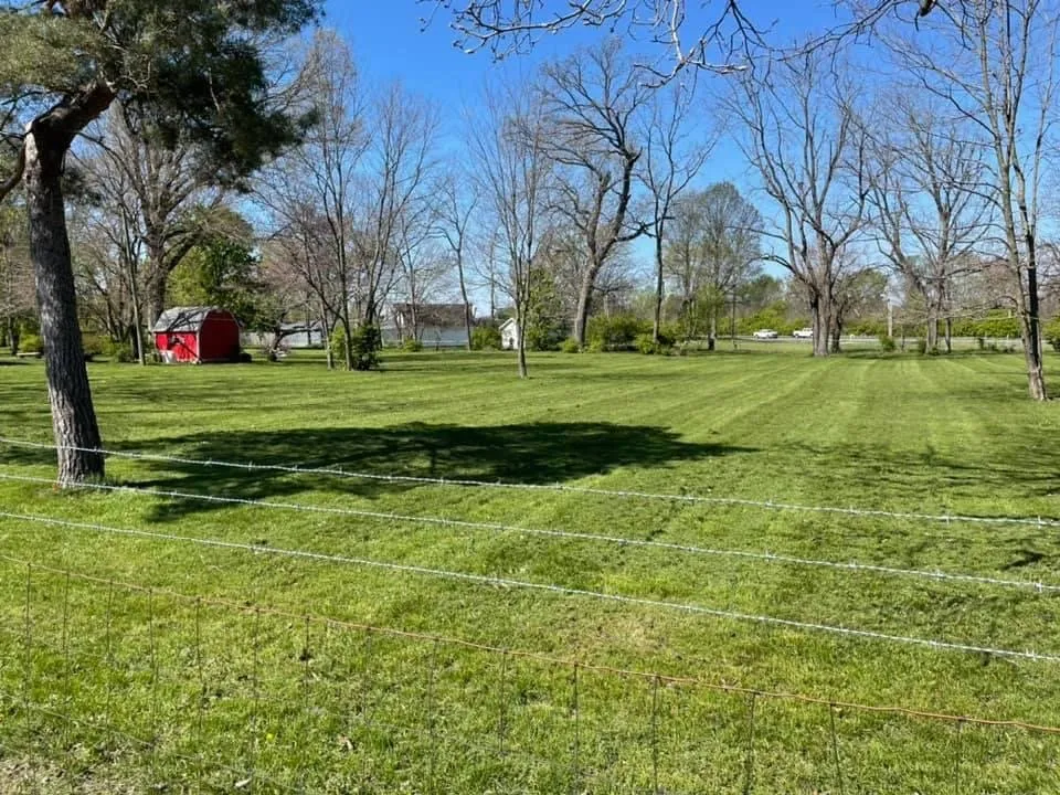 Custom lawn care service in Monrovia, IN - Mr. AJs Lawn Service