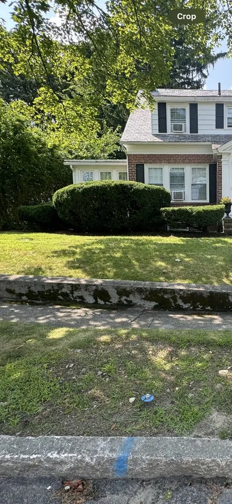 Reliable yard cleanup service experts serving Cherry Valley, MA - Mr All Purpose