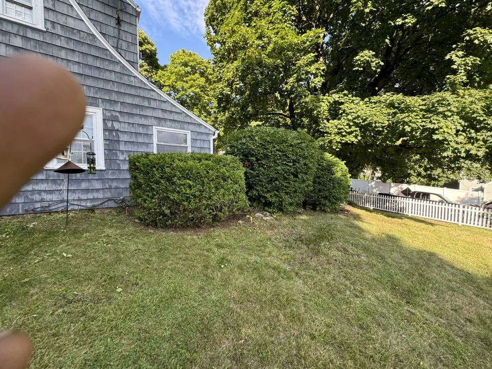 Top-rated landscape design in Cherry Valley, MA - Mr All Purpose