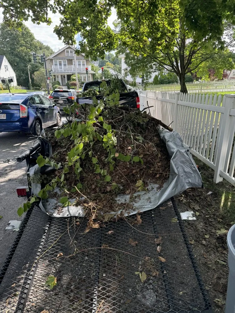 Reliable yard cleanup service for homes in Cherry Valley, MA by Mr All Purpose