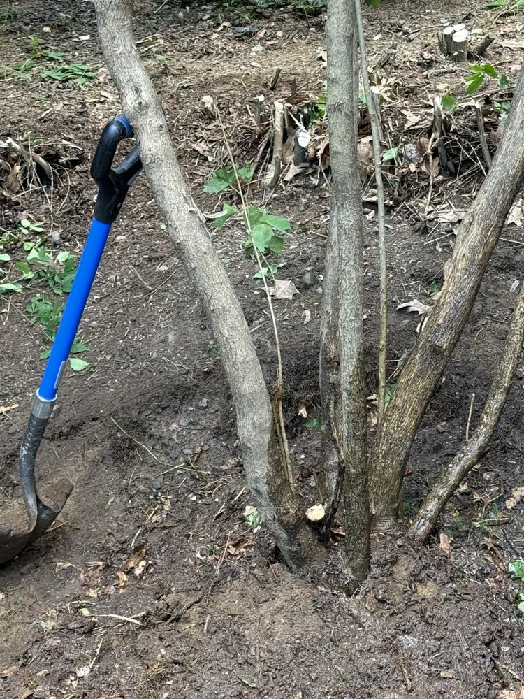 Top-rated landscape design experts serving Cherry Valley, MA - Mr All Purpose