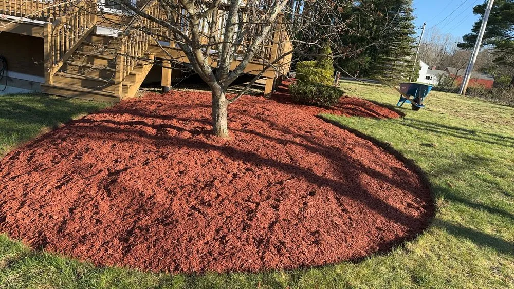Affordable yard maintenance in Cherry Valley, MA by Mr All Purpose