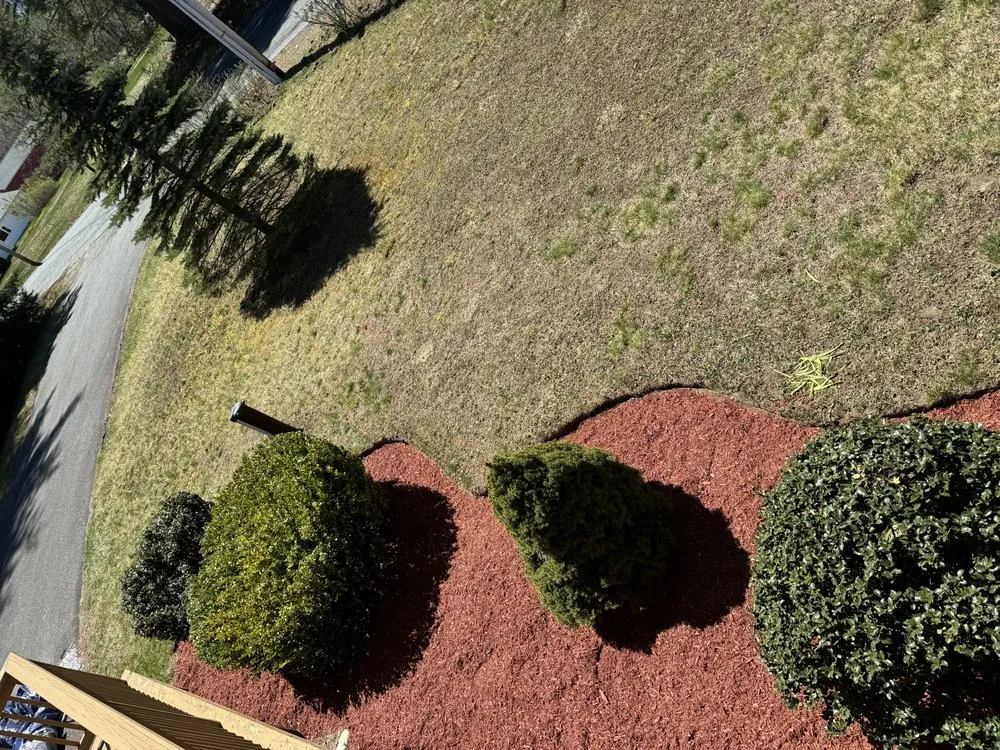 Expert lawn care service for year-round maintenance in Cherry Valley, MA by Mr All Purpose
