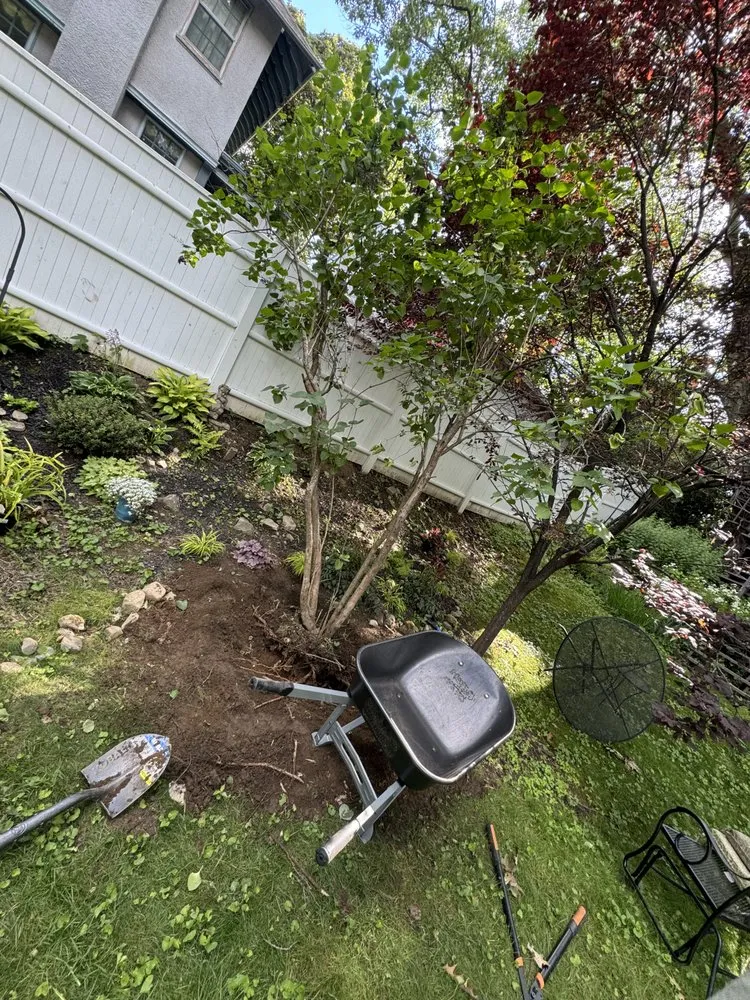 Local garden landscaping experts serving Cherry Valley, MA - Mr All Purpose