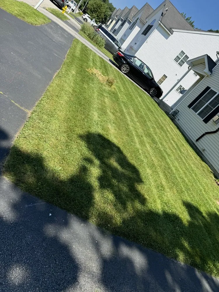 Custom residential landscaping for outdoor upgrades in Cherry Valley, MA by Mr All Purpose