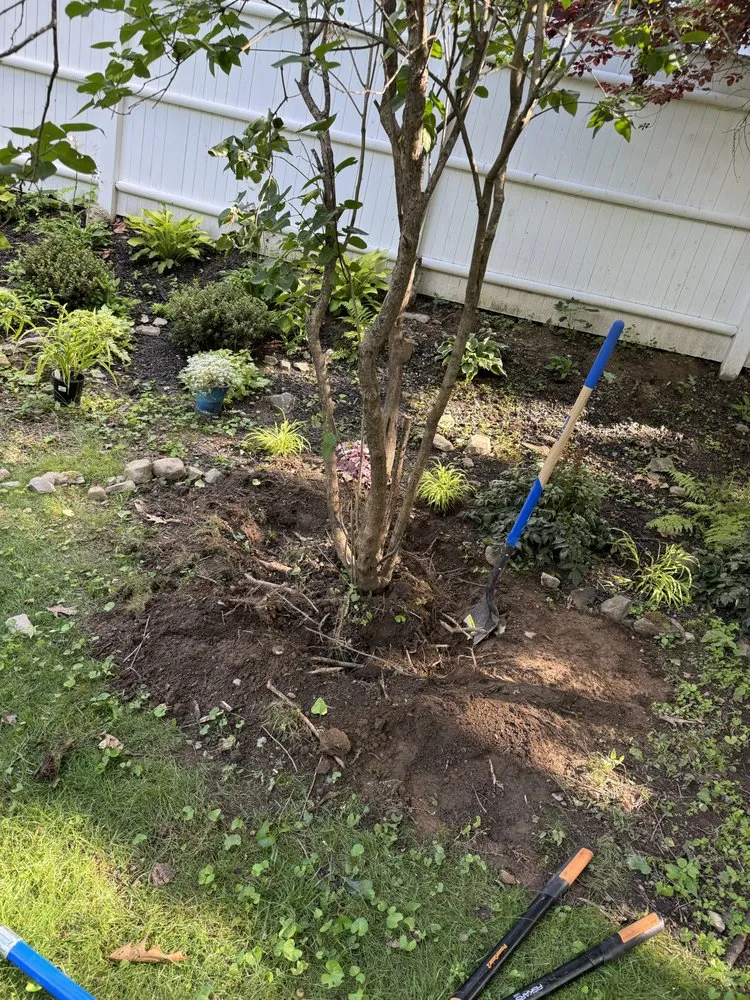 Local yard cleanup service near you across Cherry Valley, MA - Mr All Purpose