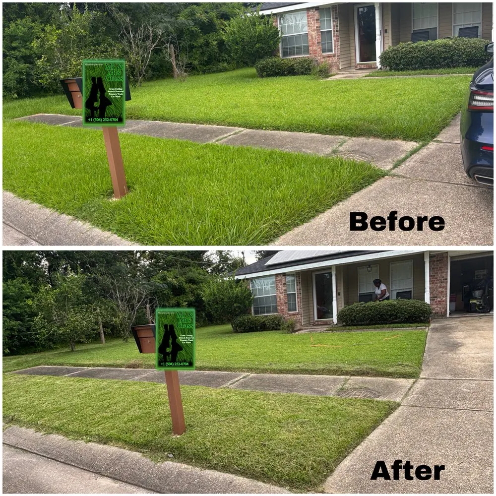 Affordable residential landscaping experts serving New Orleans, LA - Mr and Mrs Grass