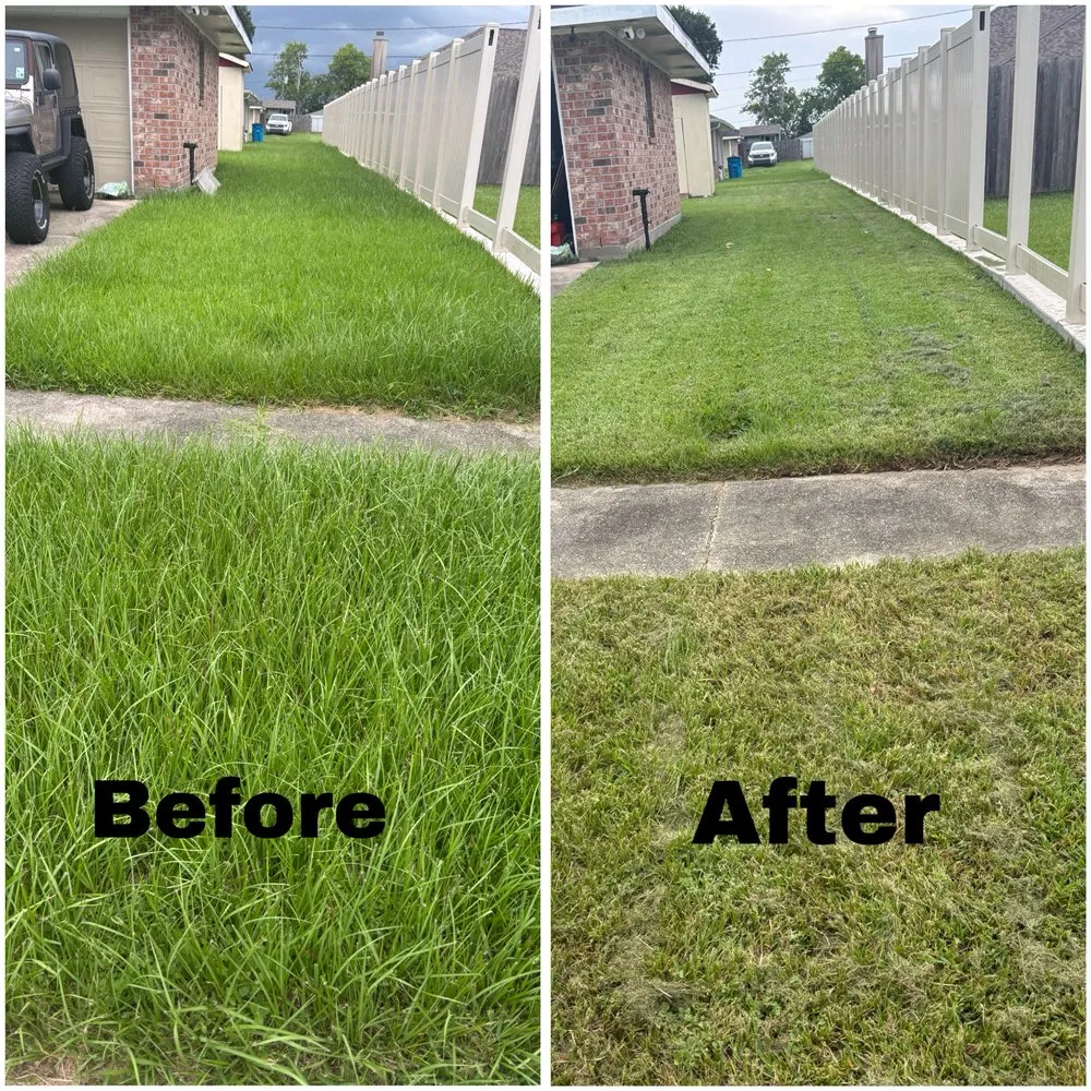 Custom yard maintenance experts serving New Orleans, LA - Mr and Mrs Grass