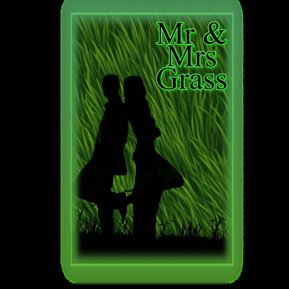 Custom landscape installation in New Orleans, LA - Mr and Mrs Grass