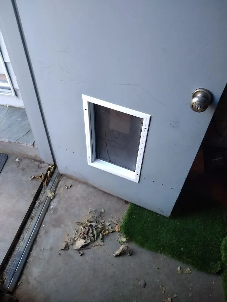 Affordable landscape installation for beautiful yards in Longmont, CO by Mr And Mrs Handyman