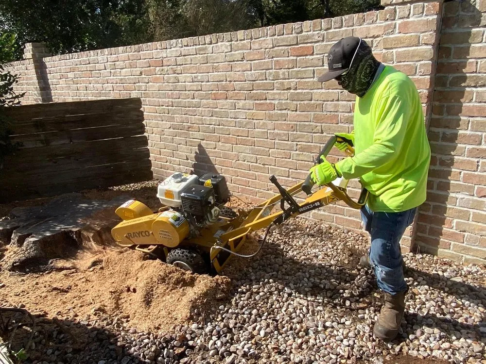 Expert landscaping services in Houston, TX - Mr Avalos Lawn Service