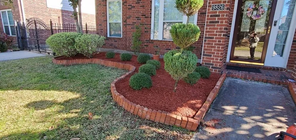 Professional landscape installation for year-round maintenance in Houston, TX by Mr Avalos Lawn Service