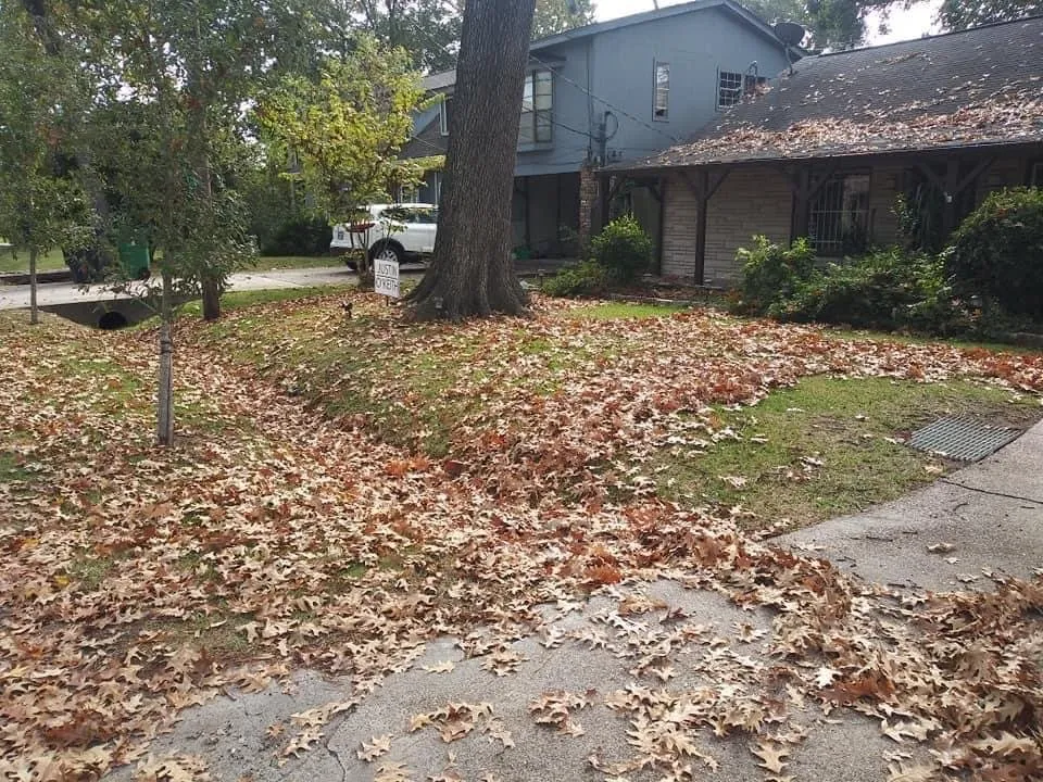 Affordable residential landscaping for year-round maintenance in Houston, TX by Mr Avalos Lawn Service