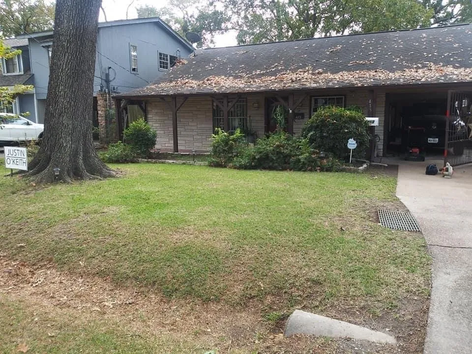 Professional residential landscaping for year-round maintenance across Houston, TX - Mr Avalos Lawn Service