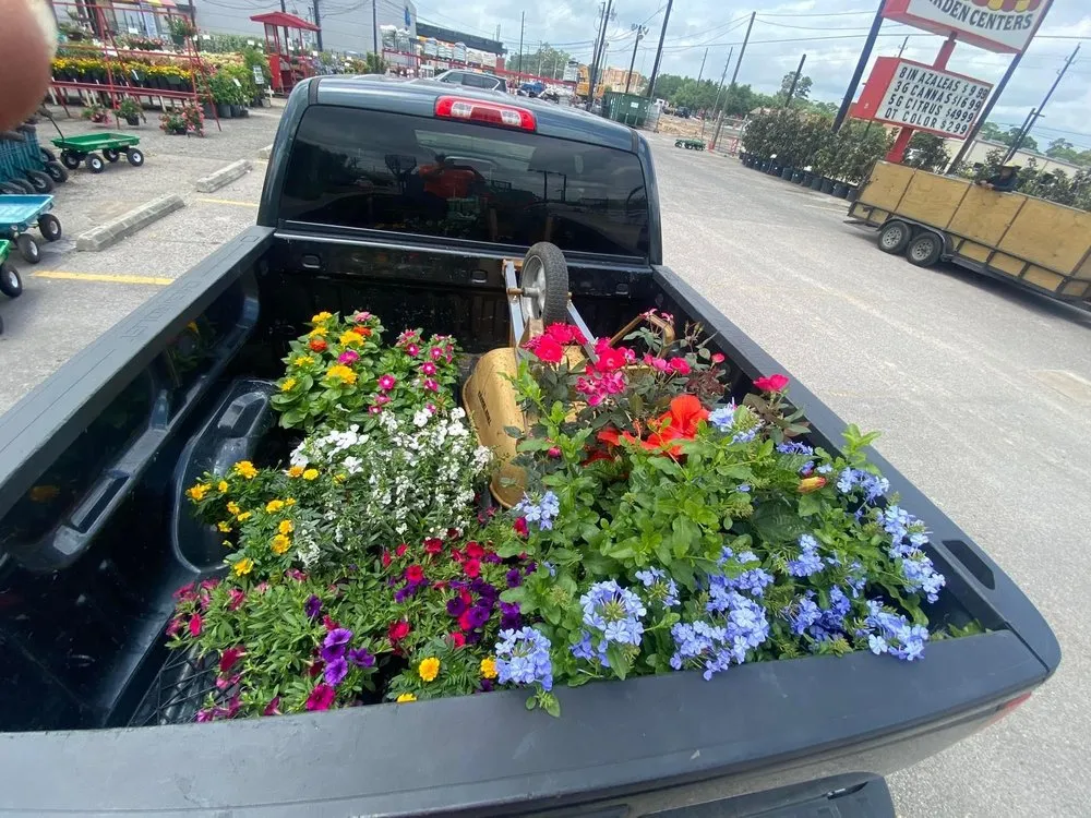 Reliable lawn care service for outdoor upgrades in Houston, TX by Mr Avalos Lawn Service