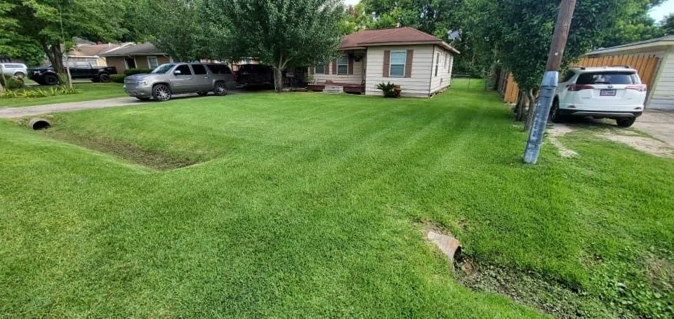 Local yard cleanup service in Houston, TX by Mr Avalos Lawn Service
