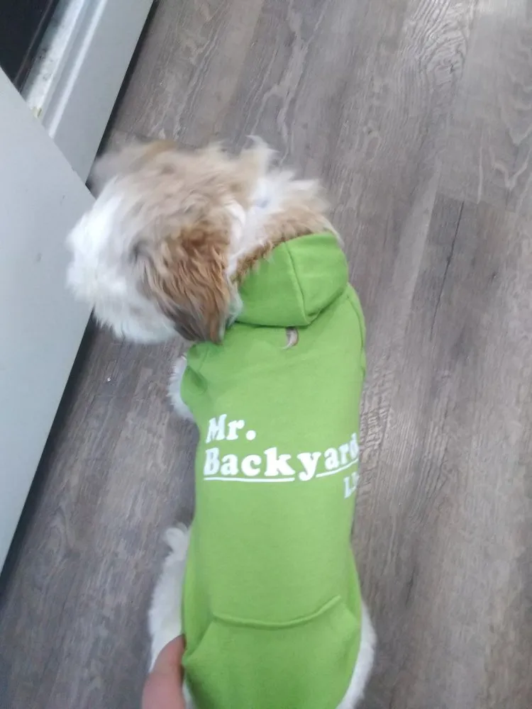 Professional landscape installation for year-round maintenance in Okemos, MI by Mr. Backyard