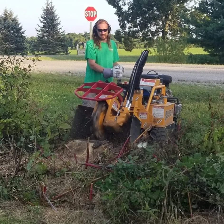 Expert landscape design for year-round maintenance in Okemos, MI by Mr. Backyard