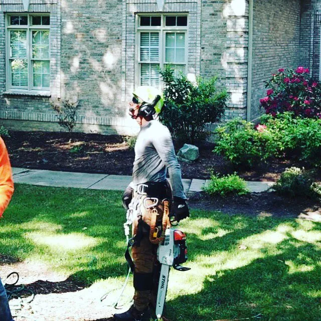 Professional yard maintenance in Raleigh, NC by Mr. Beaver Tree Service