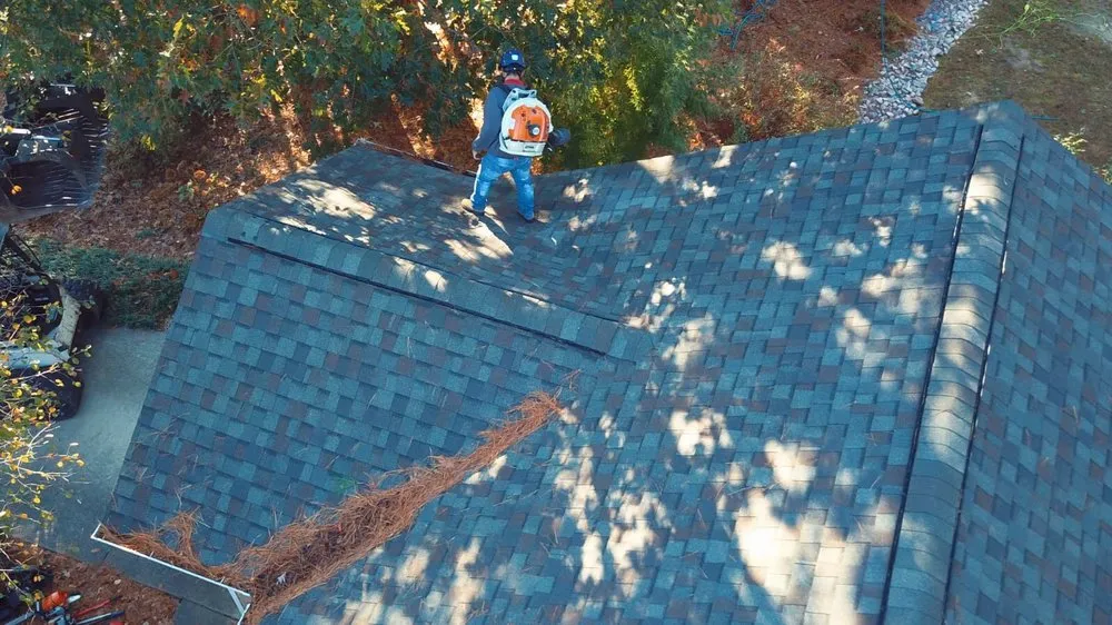 Reliable residential landscaping near you in Raleigh, NC by Mr. Beaver Tree Service