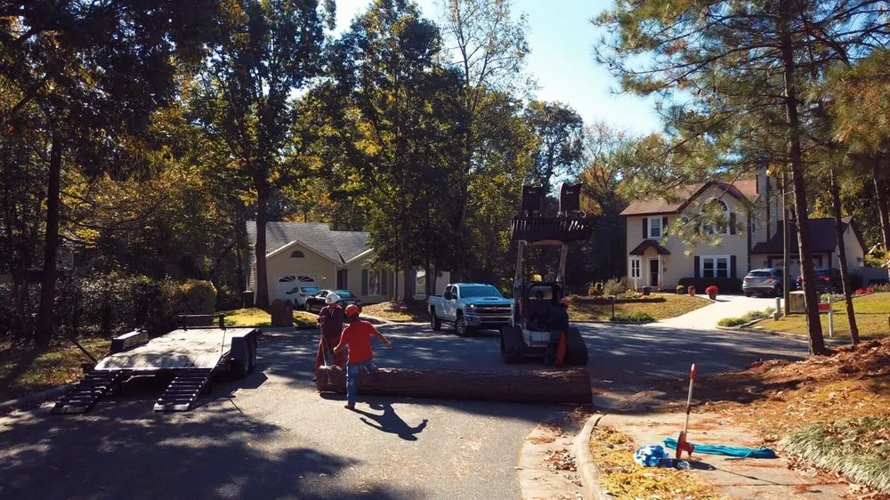 Professional garden landscaping experts serving Raleigh, NC - Mr. Beaver Tree Service