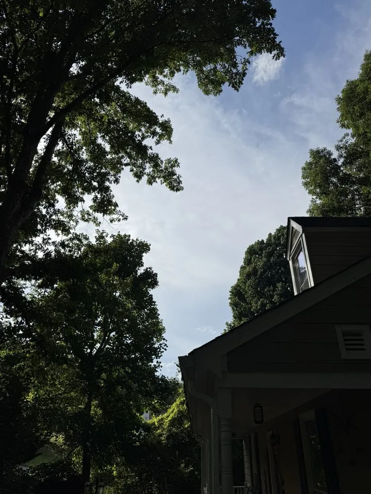 Professional outdoor landscaping experts serving Raleigh, NC - Mr. Beaver Tree Service