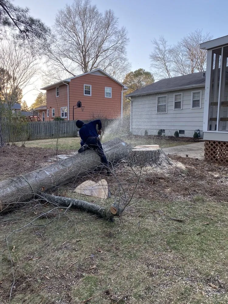 Reliable landscape design in Raleigh, NC by Mr. Beaver Tree Service