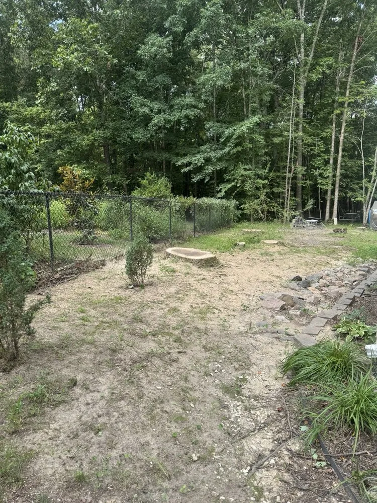 Custom yard cleanup service near you in Raleigh, NC by Mr. Beaver Tree Service