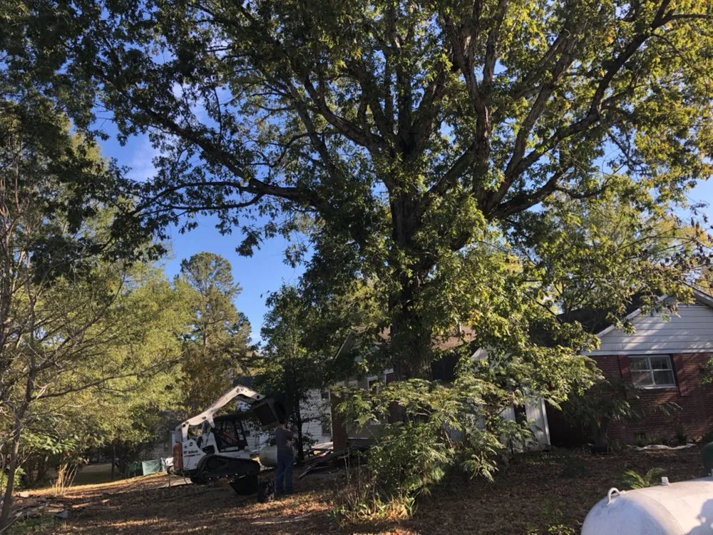 Professional residential landscaping experts serving Raleigh, NC - Mr. Beaver Tree Service