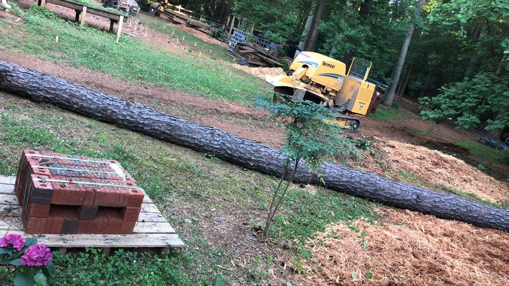 Expert landscape installation for homes across Raleigh, NC - Mr. Beaver Tree Service