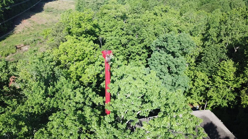 Expert landscape installation for homes in Raleigh, NC by Mr. Beaver Tree Service