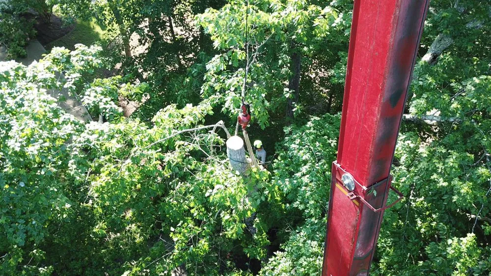 Reliable garden landscaping in Raleigh, NC by Mr. Beaver Tree Service