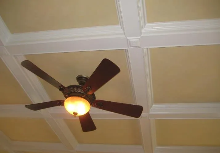 Professional yard cleanup service in Livermore, CA - Mr Bees Repair And Maintenance