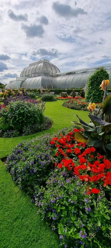 Professional lawn care service in Goldsboro, NC - Mr Bell's Products