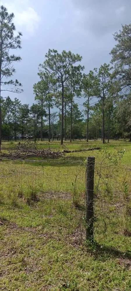 Affordable yard cleanup service with custom design in Citra, FL by Mr Big Motion Lawn Care Services