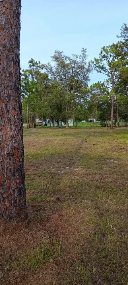 Custom outdoor landscaping for homes in Citra, FL by Mr Big Motion Lawn Care Services