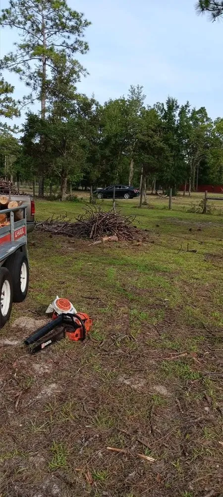 Professional landscaping services near you in Citra, FL by Mr Big Motion Lawn Care Services