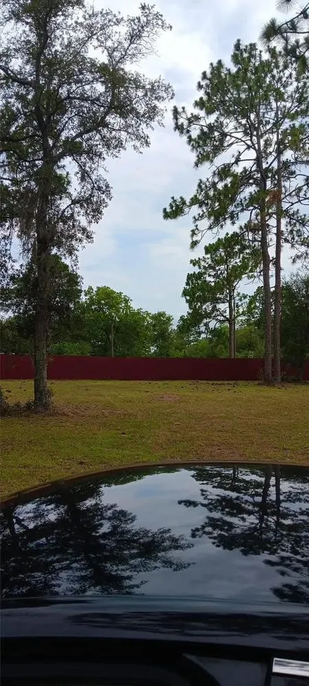 Expert garden landscaping experts serving Citra, FL - Mr Big Motion Lawn Care Services