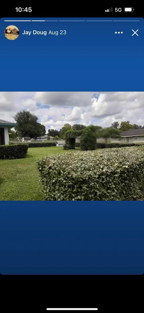 Local outdoor landscaping in Citra, FL by Mr Big Motion Lawn Care Services